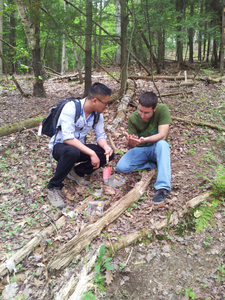 Andrew and Mike collecting Aphaenogaster in Centennial Woods