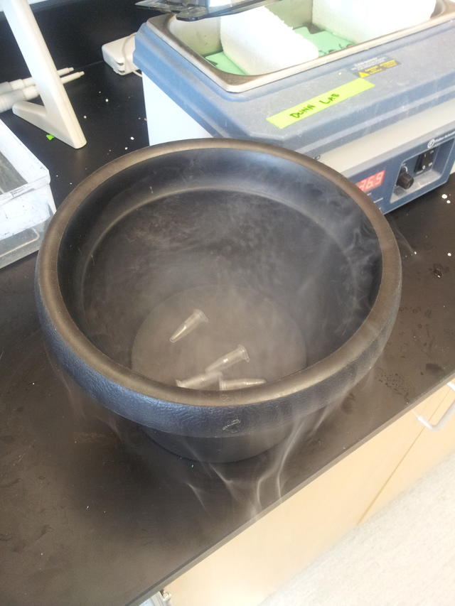 liquid nitrogen